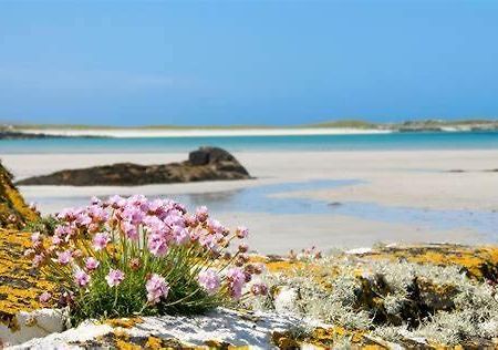Wild Atlantic Stay Guest House Self-Catering Inverin Екстериор снимка