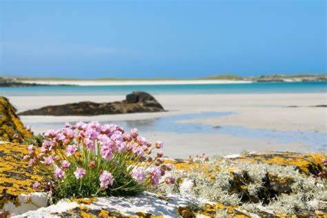 Wild Atlantic Stay Guest House Self-Catering Inverin Екстериор снимка